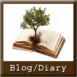 blog/diary
