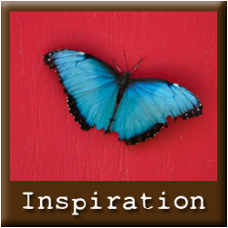 Inspiration button